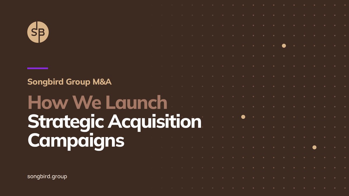 Songbird Group M&A: How We Launch Strategic Acquisition Campaigns